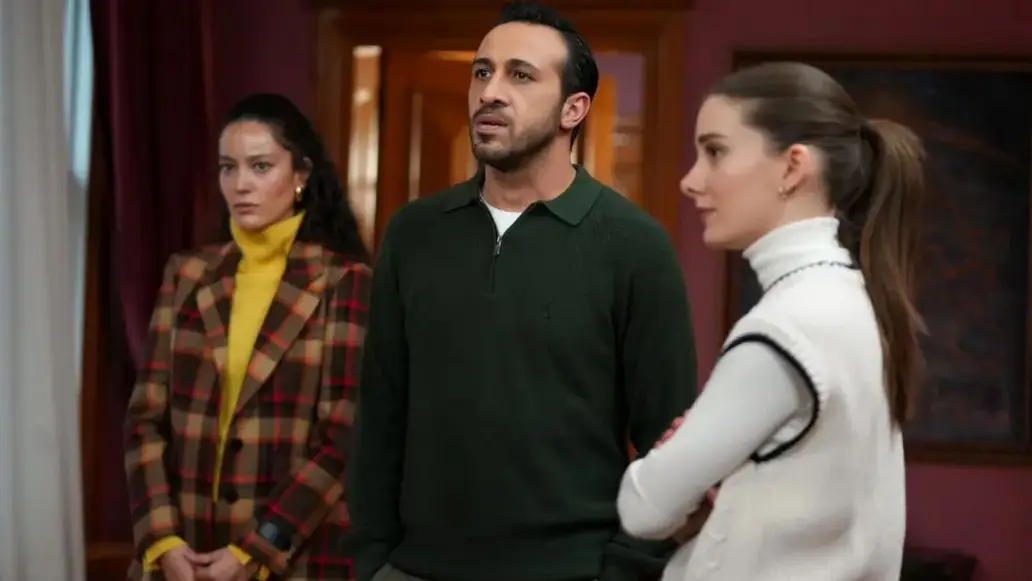 сериал Зимородок, содержание серий, смотреть онлайн, турецкий сериал