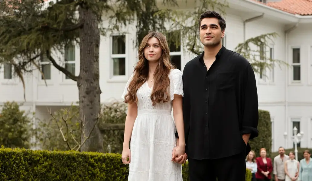 сериал, зимородок, турция, смотреть, онлайн, бесплатно, финал, обзор, подборка, картины в особняке