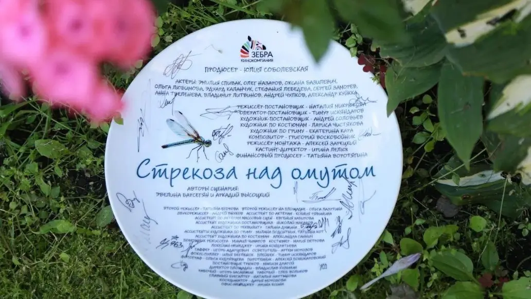 сериал, стрекоза над омутом, съемки, твц, сюжет, актеры, фото, дата выхода, Фото: кинокомпания "Зебра"